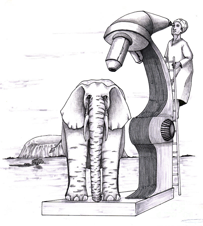 809x900 elephant examined under huge microscope outside drawing - Outside Drawing