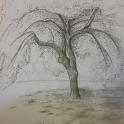 250x250 outside drawing - Outside Drawing