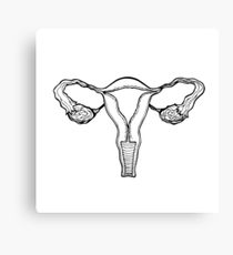 210x230 Ovary Drawing Canvas Prints Redbubble - Ovary Drawing