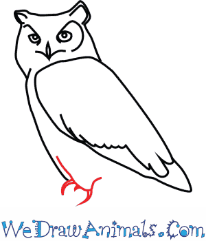 300x350 How To Draw A Great Horned Owl - Owl Cartoon Drawing