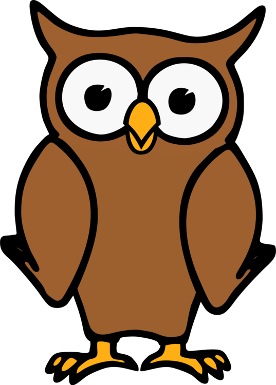 537x750 owl animation drawing animated cartoon cc0 - Owl Cartoon Drawing