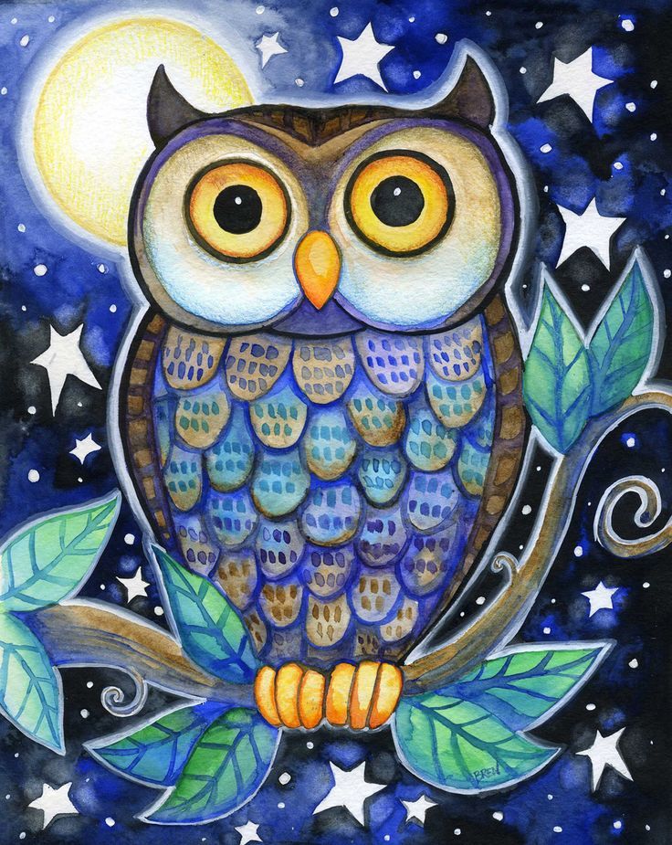 736x925 Image Result For Owl Drawing Color My Project Owl, Owl Art - Owl Color Drawing