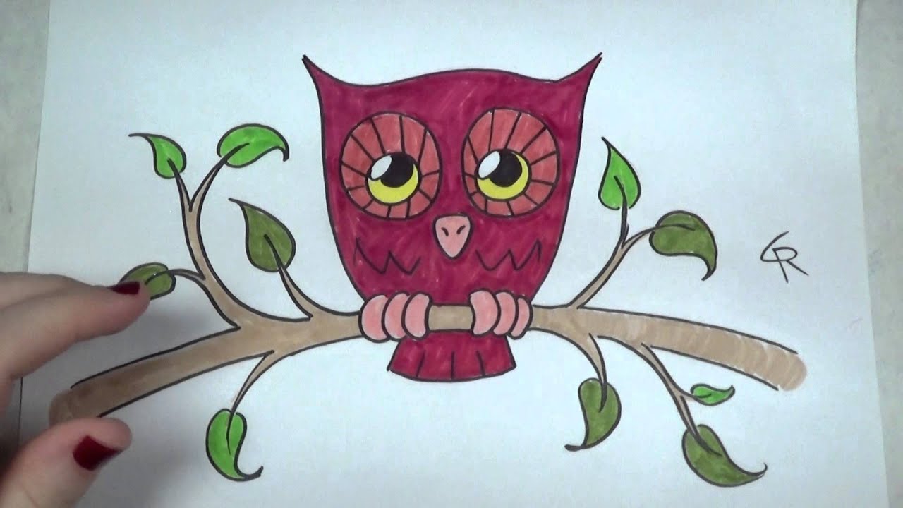 Owl Color Drawing at PaintingValley.com | Explore collection of Owl ...