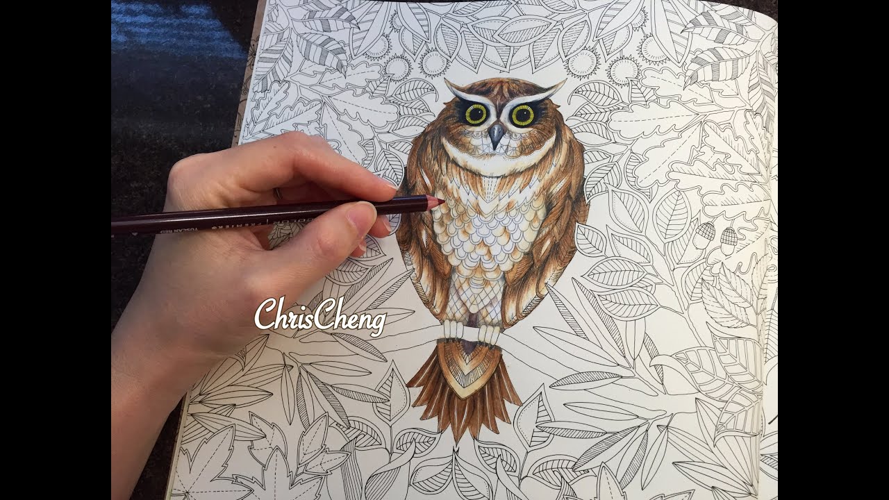 1280x720 Owls Drawing Coloring With Colored Pencils Secret Garden - Owl Color Drawing