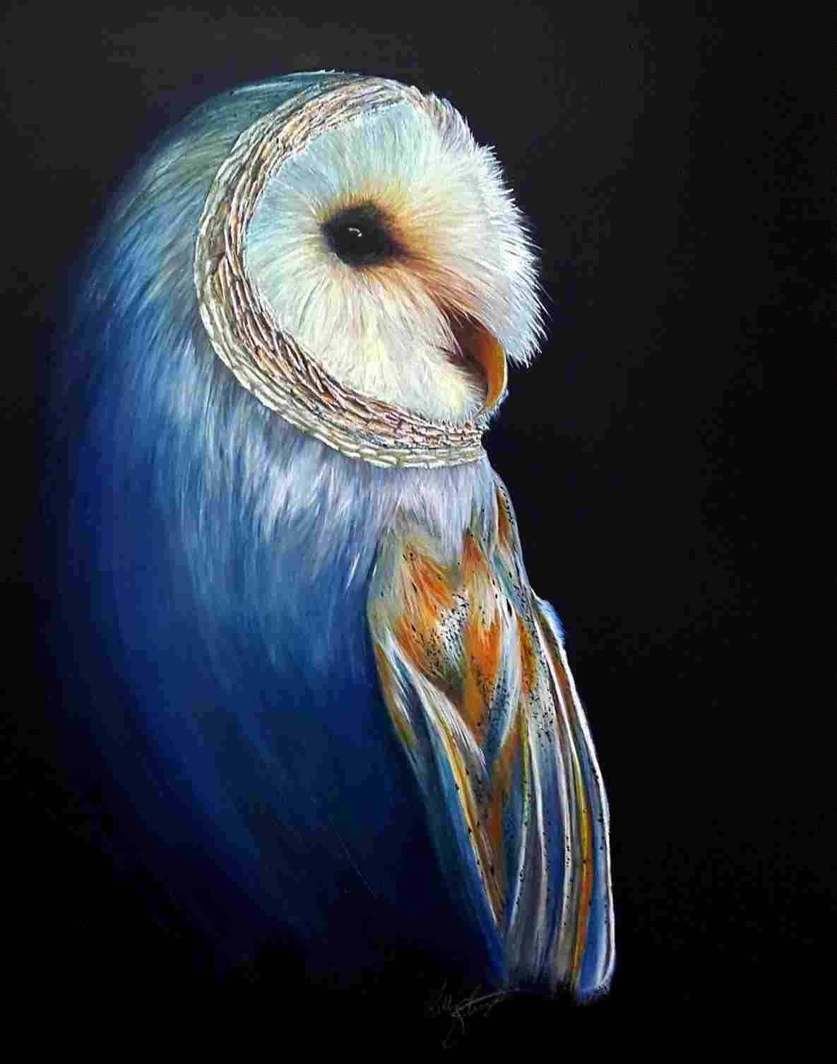 Owl Color Drawing at Explore collection of Owl