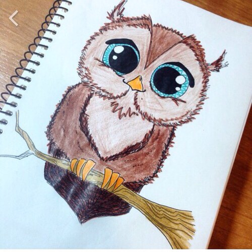 500x500 Cute Drawing - Owl Cute Drawing