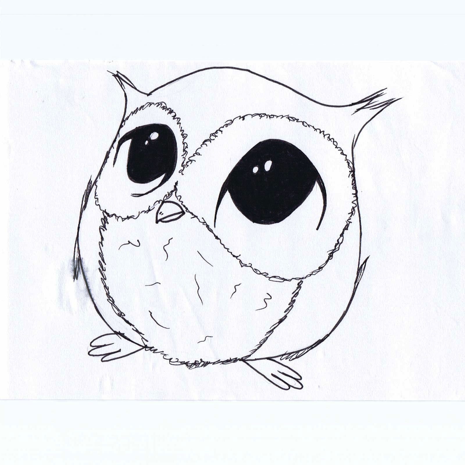 1599x1600 Easy Owl Drawing - Owl Cute Drawing
