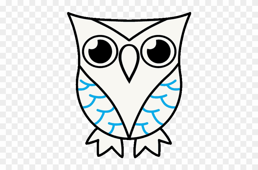 880x579 How To Draw Owl - Owl Cute Drawing