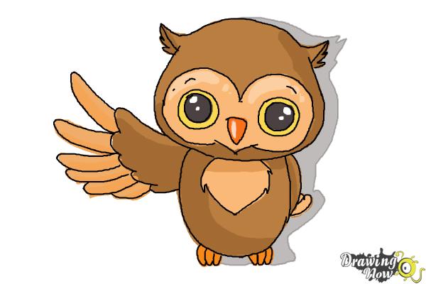 600x400 How To Draw A Cute Owl - Owl Cute Drawing