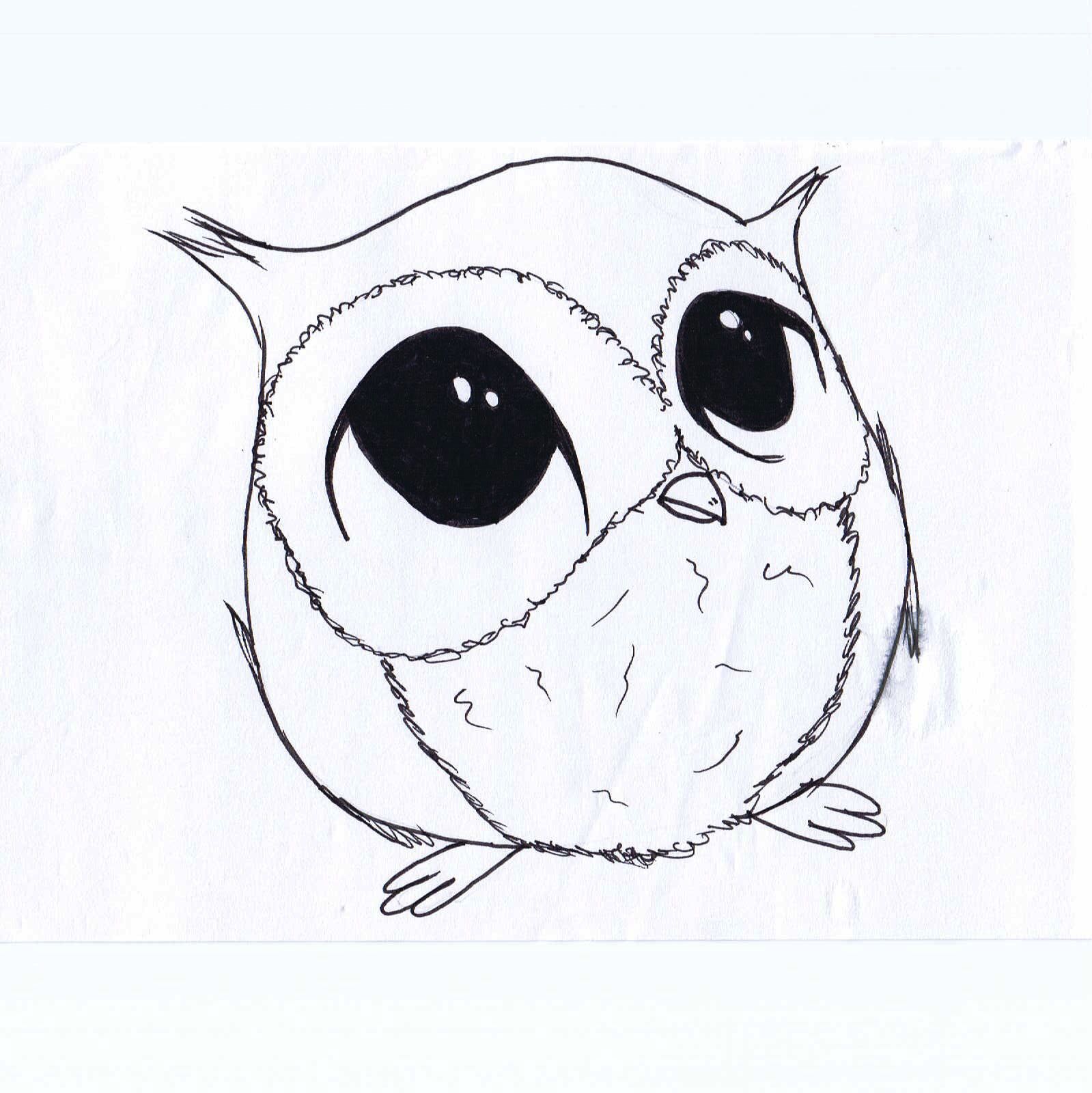 1599x1600 Art Drawings Know How In Drawings - Owl Cute Drawing