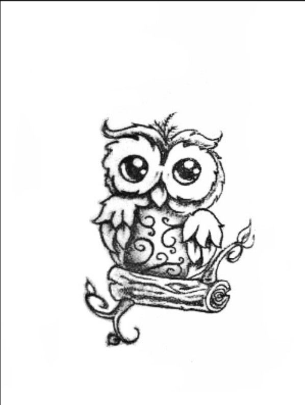 Owl Cute Drawing At Paintingvalley Com Explore Collection Of Owl