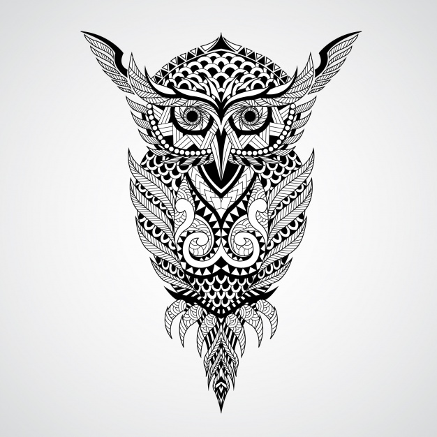 626x626 Geometrical Owl Design Background Vector Free Download - Owl Design Drawing