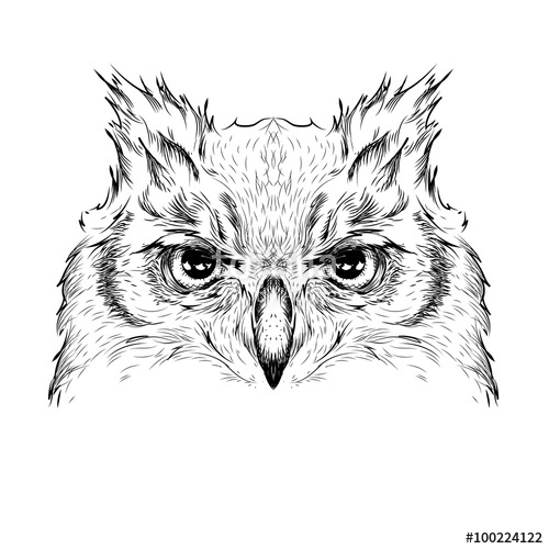 500x500 Image Portrait Owl African Indian Totem Tattoo Design Use - Owl Design Drawing
