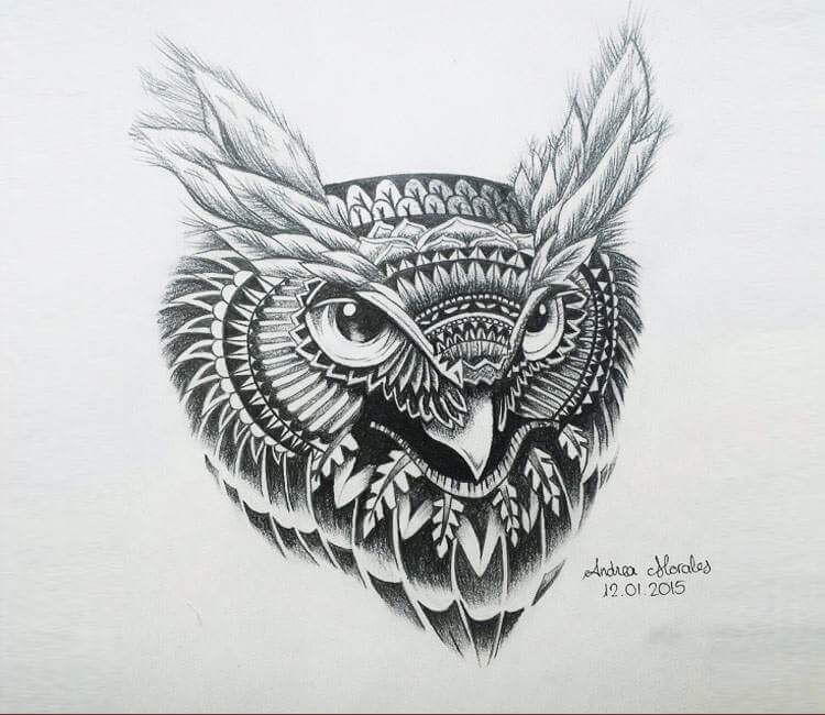750x650 Owl Buho Design Drawing - Owl Design Drawing