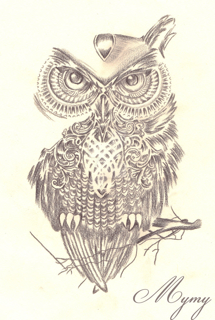 733x1091 Owl Design - Owl Design Drawing