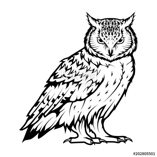 500x500 Owl Logo Wild Birds Drawing Head Of An Owl Vector Graphics - Owl Design Drawing