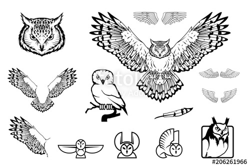 500x334 Set Of Owl Logo Wild Birds Drawing Head Of An Owl Vector - Owl Design Drawing