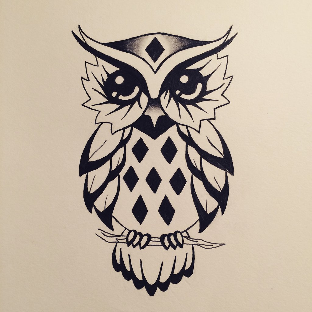 1024x1024 Cute Owl Design Drawing - Owl Design Drawing