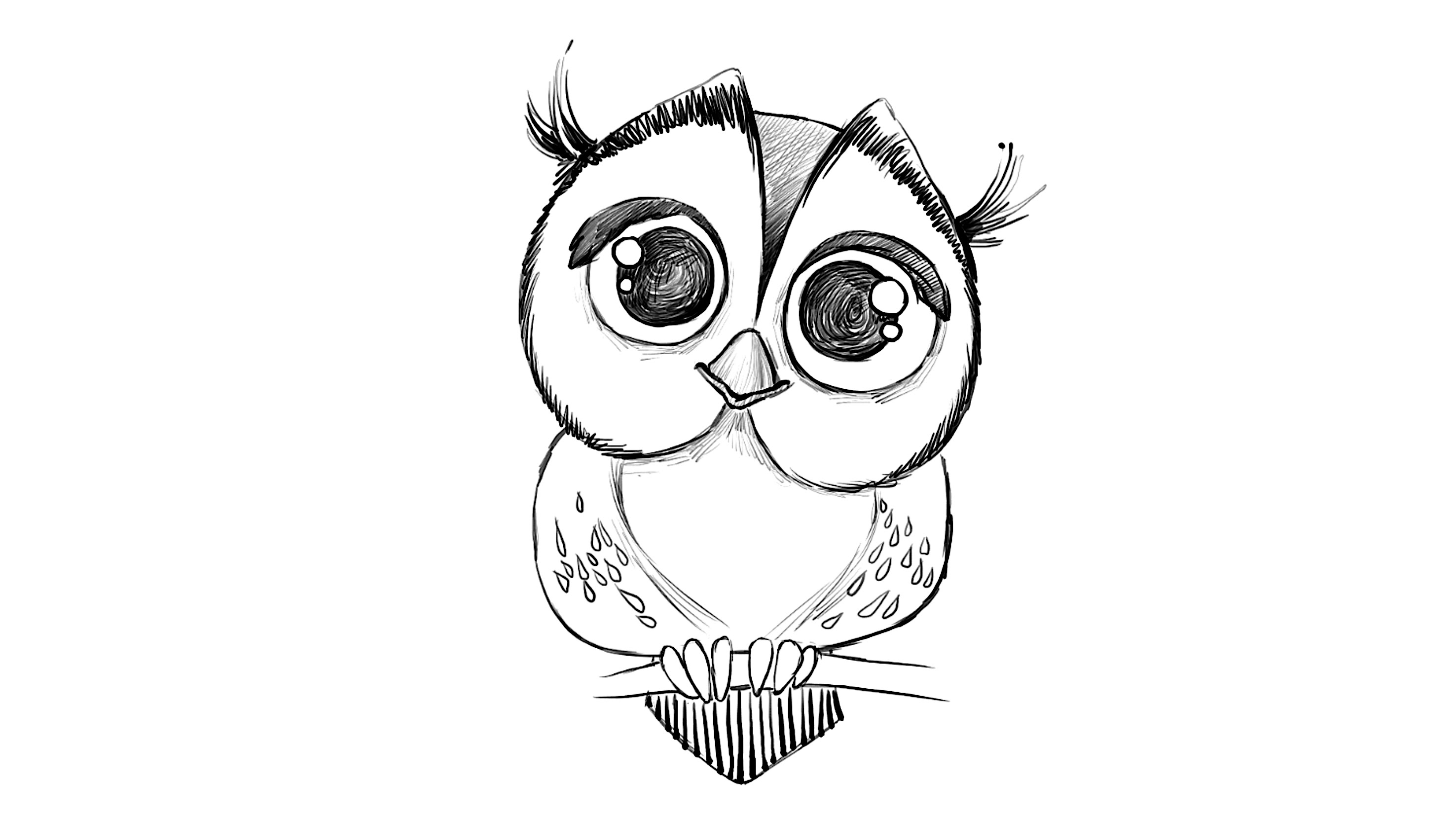 2952x1654 Egg Drawing Owl For Free Download - Owl Drawing