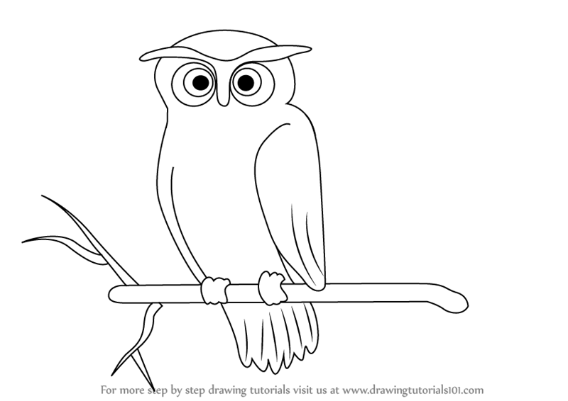 800x566 Learn How To Draw A Scary Owl - Owl Drawing