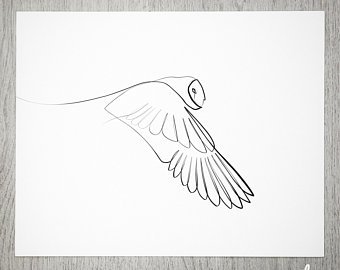 340x270 Owl Drawing Etsy - Owl Drawing