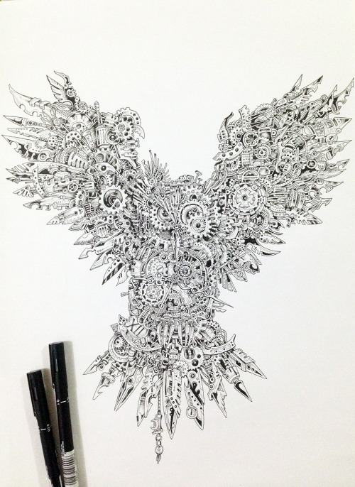 500x686 Owl Drawing Tumblr - Owl Drawing