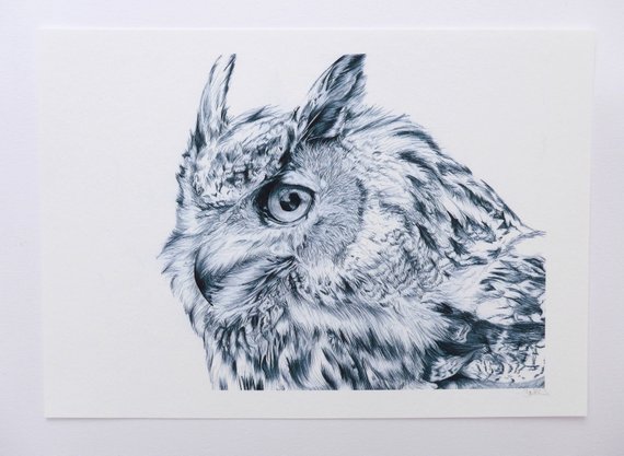 570x417 Owl Drawing Animal Illustration Black And White Art Print Etsy - Owl Drawing Art