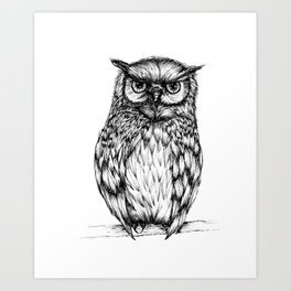 264x264 Owl Drawing Art Prints - Owl Drawing Art