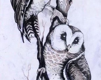 340x270 Owl Drawing Etsy - Owl Drawing Art
