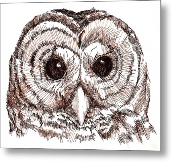 600x566 Sepia Pen And Ink Owl Drawing Drawing - Owl Drawing Art