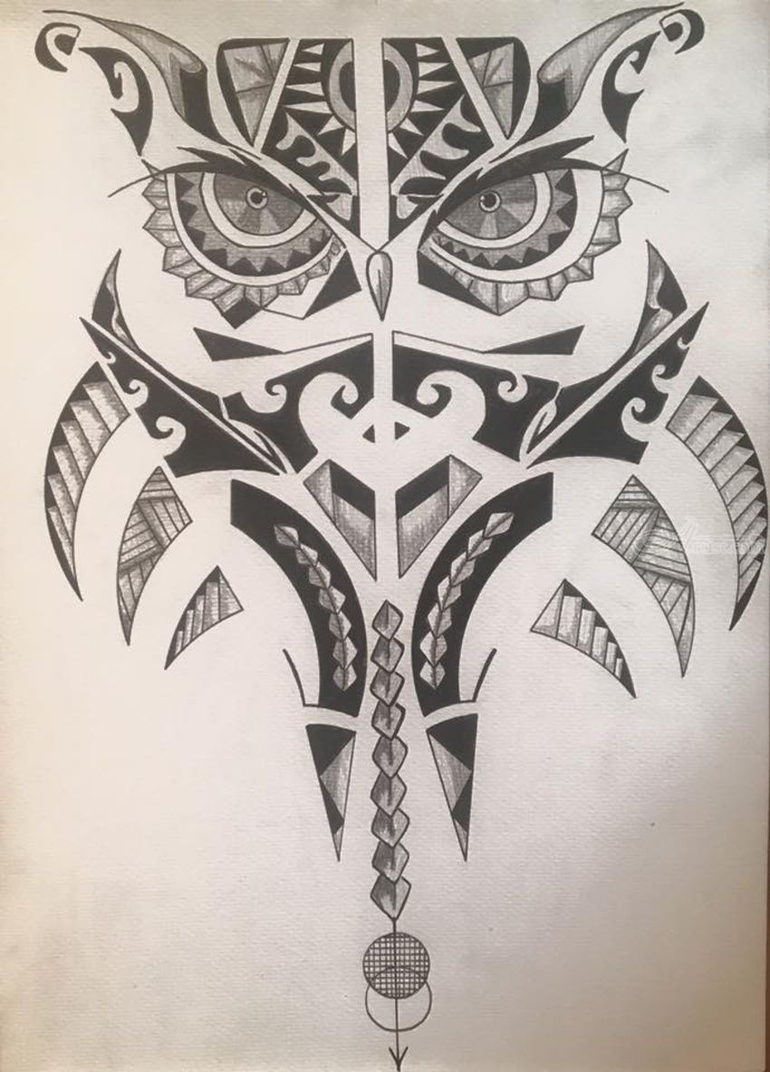 850x1183 The Night Owl Drawings Sketch - Owl Drawing Art