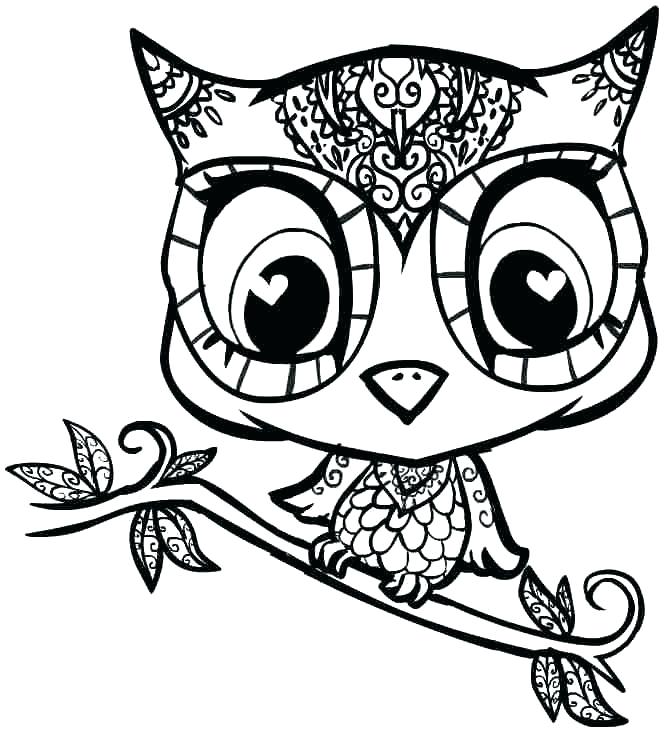 666x732 Owl Coloring Sheets Drawing Color At Free For Personal Use Easy - Owl Drawing Color