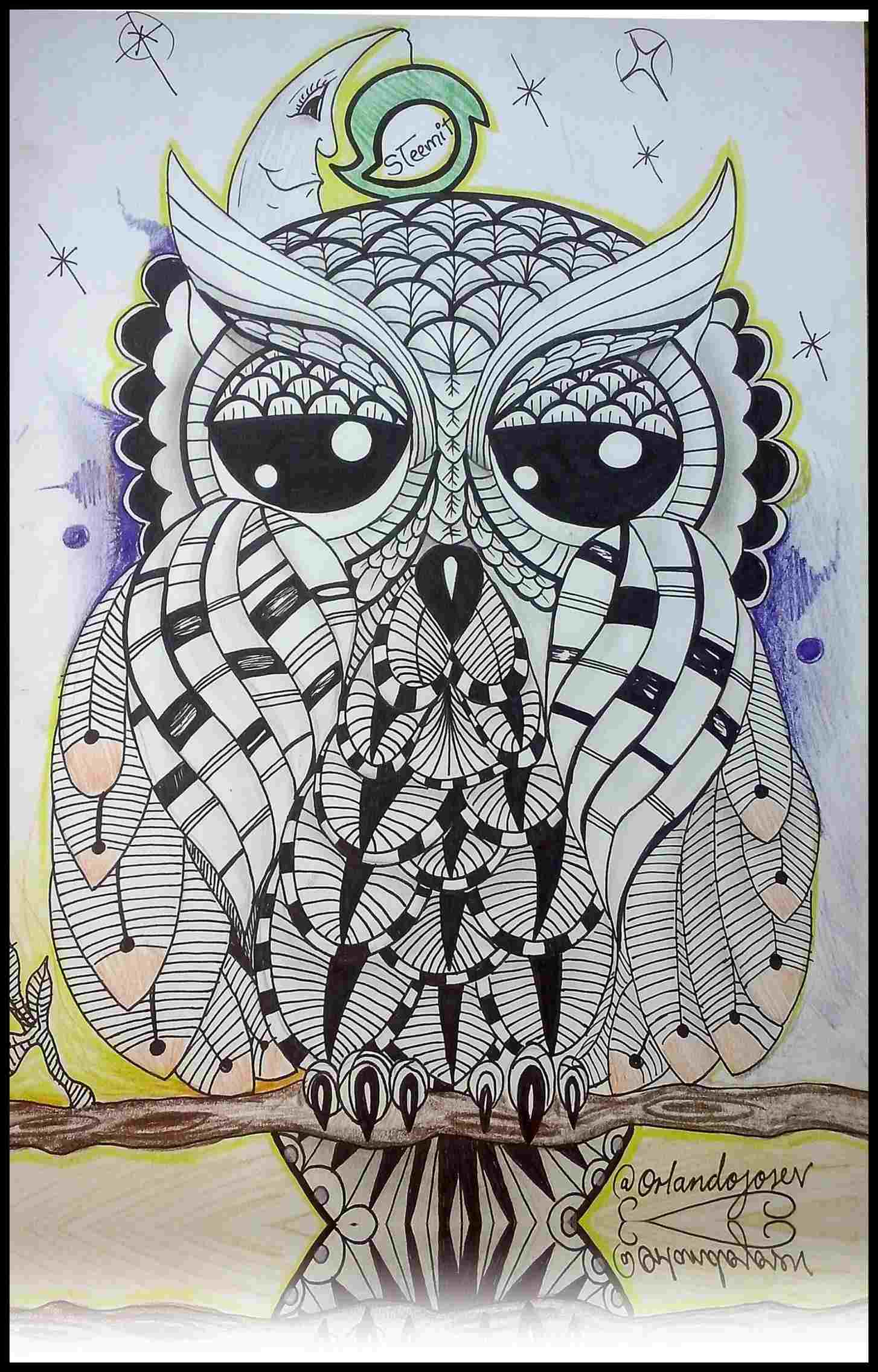 1454x2273 Owl Drawing Color - Owl Drawing Color