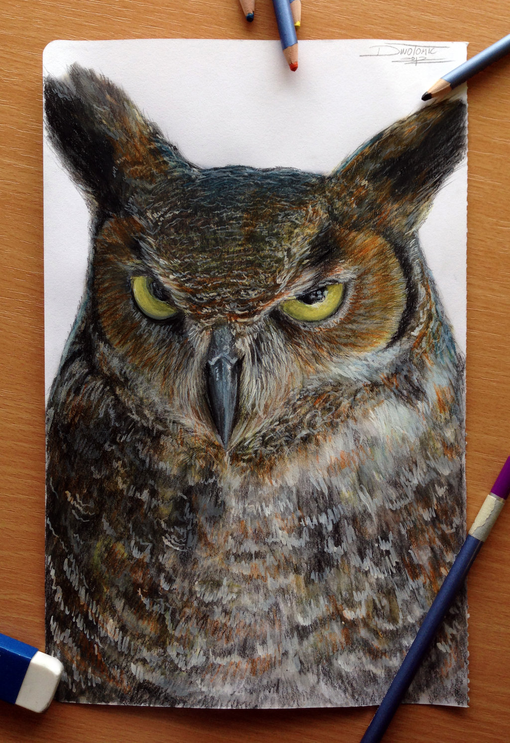 1024x1492 Owl Drawing Color - Owl Drawing Color