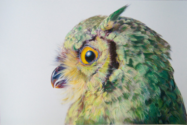 640x427 Photos Colored Charcoal Drawings - Owl Drawing Color