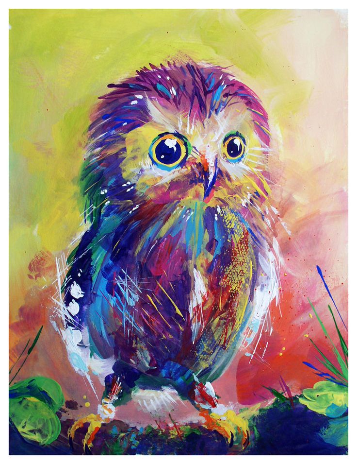 736x955 Photos Drawings Of Owls In Color - Owl Drawing Color