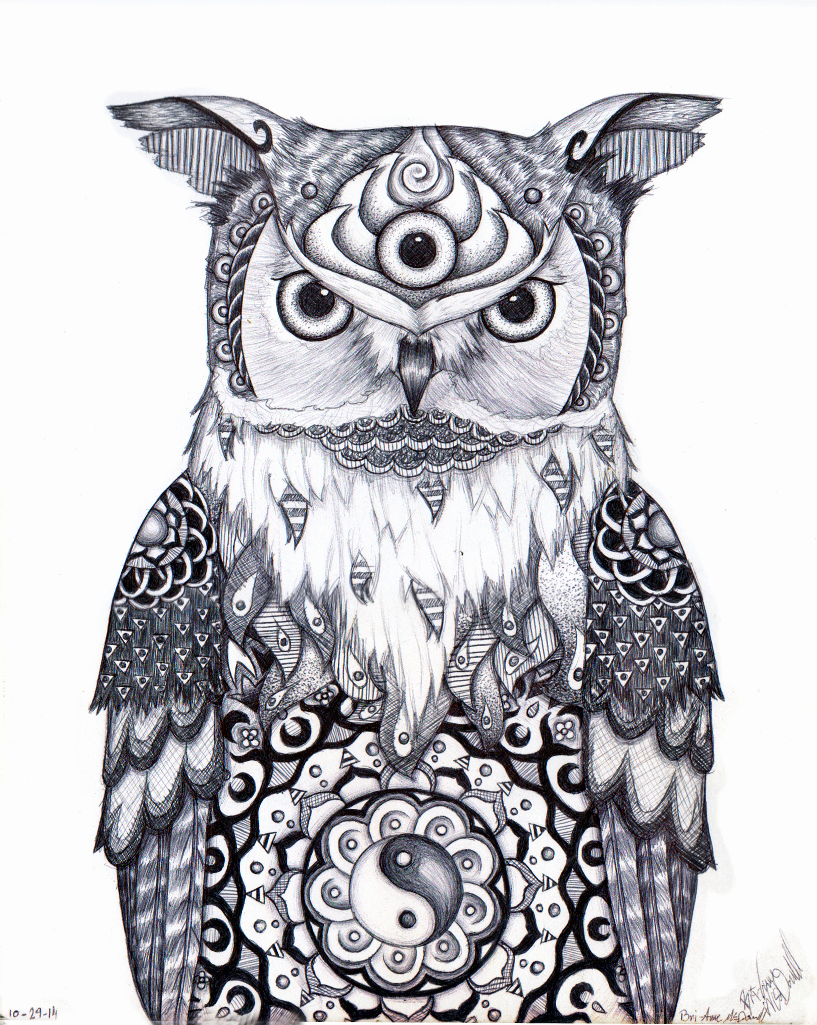 1632x2048 Pictures Of Owl Drawings Luxury Owl Drawing Color Crazywidowfo - Owl Drawing Color