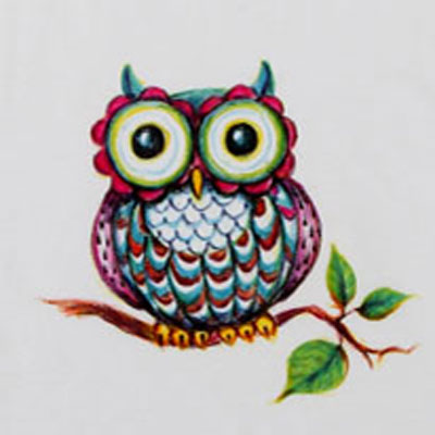 400x400 color me bright owl t shirt ilovetocreate colored owl pictures - Owl Drawing Color