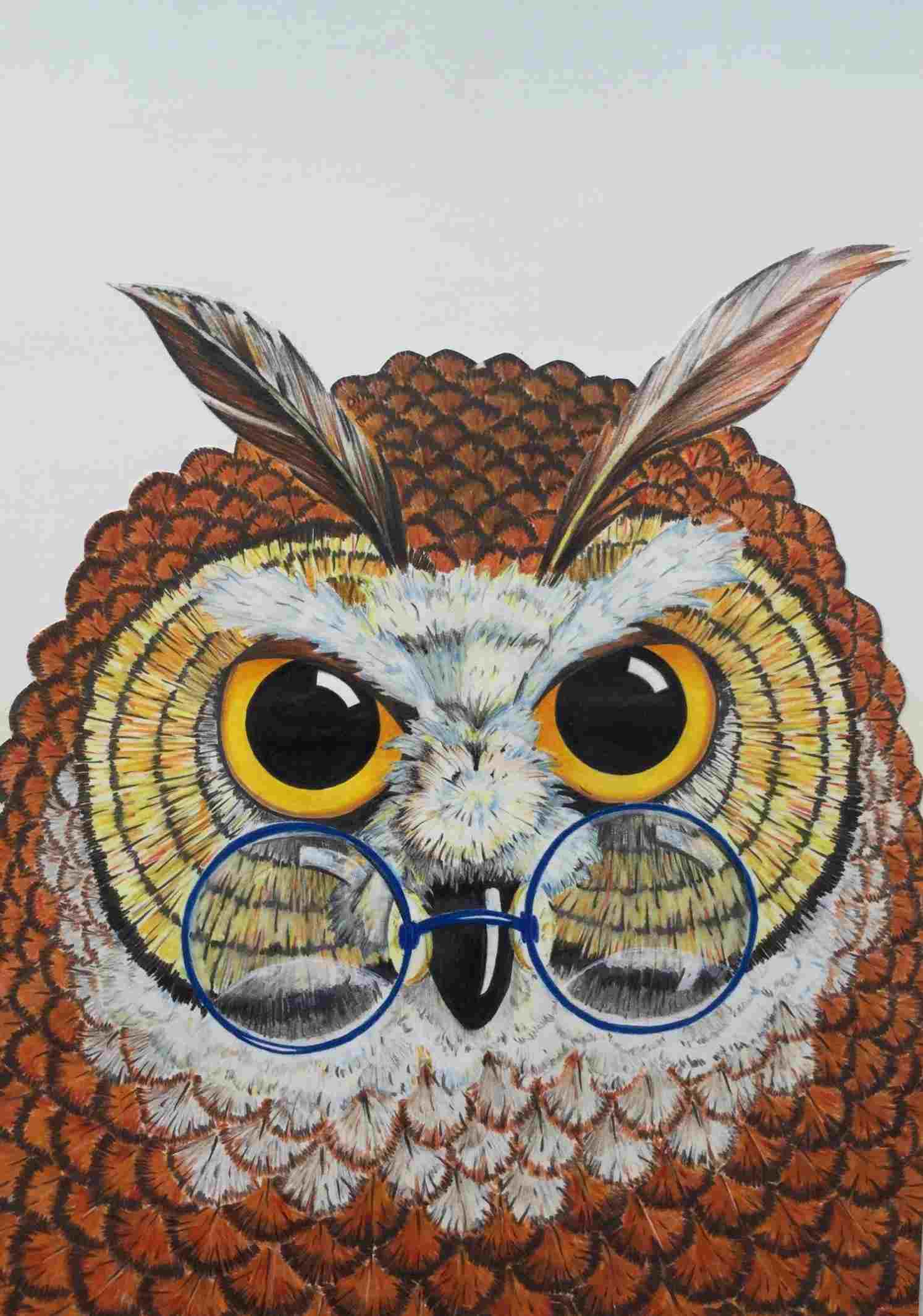 1494x2131 Pencil Drawing Color There Having Such A Great Time This Barred - Owl Drawing Color