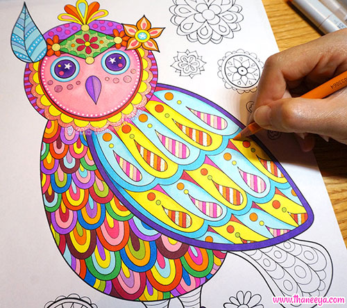 Owl Drawing Color At Paintingvalley Com Explore Collection Of