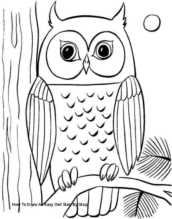 580x738 How To Draw An Easy Owl Step - Owl Drawing Easy