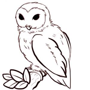302x302 How To Draw Owls, Step - Owl Drawing Easy