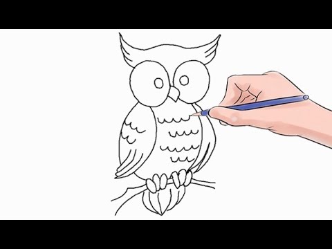 480x360 How To Draw An Owl Easy Step - Owl Drawing Easy