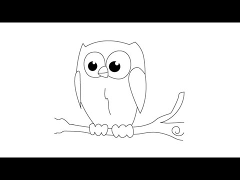 480x360 How To Draw An Owl - Owl Drawing Easy