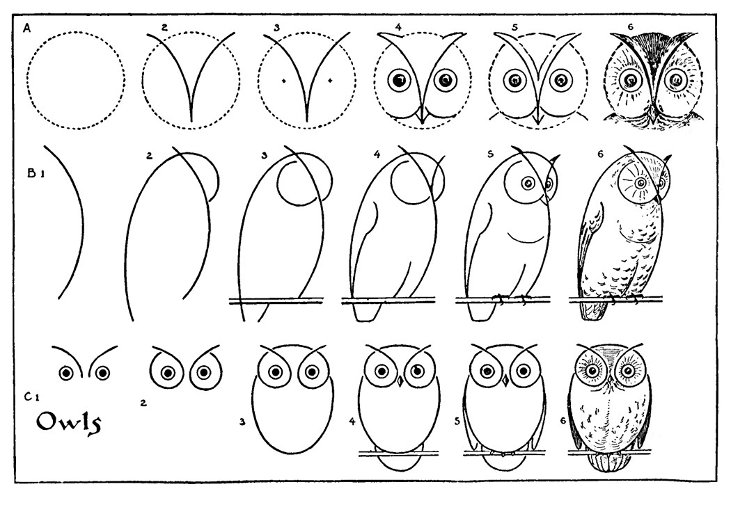 1050x726 How To Draw An Owl - Owl Drawing For Kids