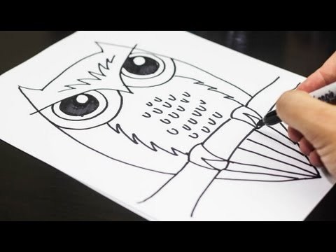 480x360 video how to draw an owl, for kids local santa cruz - Owl Drawing For Kids