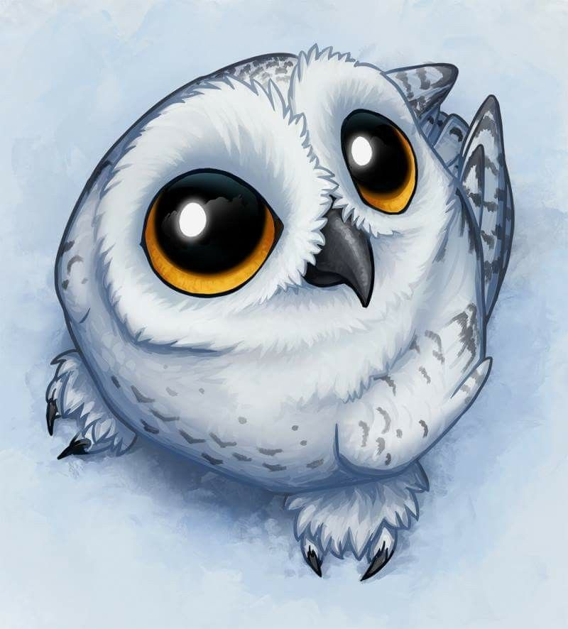 Owl Drawing Ideas At Paintingvalley Com Explore Collection Of