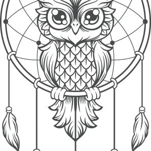 300x300 How To Draw An Owl Step - Owl Drawing Ideas