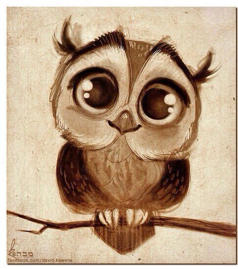 486x548 Owl Drawing Ideas At Getdrawings Com Free For Personal Use Owl - Owl Drawing Ideas