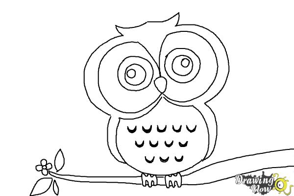 600x400 How To Draw An Owl For Kids - Owl Drawing Step By Step